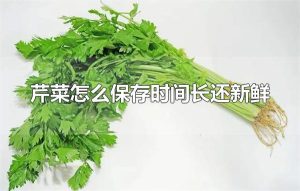 芹菜怎么保存时间长还新鲜 保存芹菜要保持充足的水分