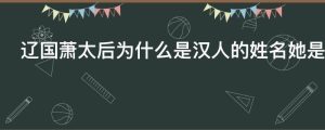 辽国萧太后为什么是汉人的姓名她是汉人的后代吗