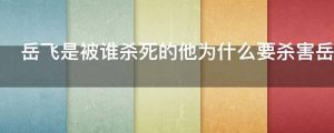 岳飞是被谁杀死的他为什么要杀害岳飞