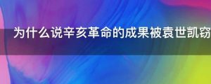 为什么说辛亥革命的成果被袁世凯窃取了