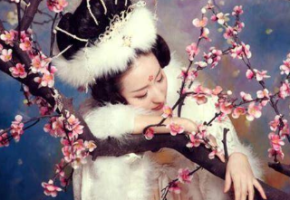 历史上梅妃的最终结局是什么？