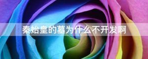 秦始皇的墓为什么不开发啊