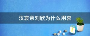 汉哀帝刘欣为什么用哀