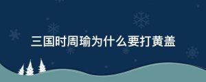 三国时周瑜为什么要打黄盖