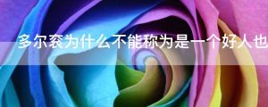 多尔衮为什么不能称为是一个好人也不能说是一个坏人呢