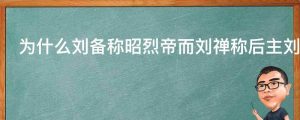 为什么刘备称昭烈帝而刘禅称后主刘禅没有帝号吗