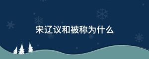 宋辽议和被称为什么