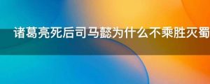 诸葛亮死后司马懿为什么不乘胜灭蜀