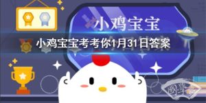 想要爬楼梯锻炼身体，最好选择以下哪种方法 蚂蚁庄园1月31日今日答案
