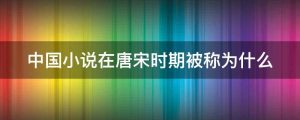 中国小说在唐宋时期被称为什么