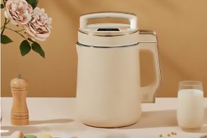 豆浆机十大品牌（豆浆机有什么好品牌）