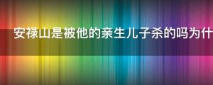 安禄山是被他的亲生儿子杀的吗为什么