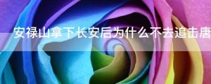 安禄山拿下长安后为什么不去追击唐玄宗