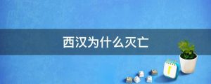西汉为什么灭亡
