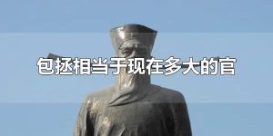 包拯相当于现在多大的官 包拯最大的官名是什么？