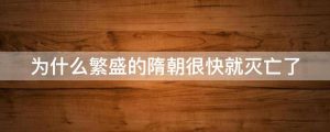 为什么繁盛的隋朝很快就灭亡了