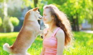 狗狗吃多了蛋黄会怎样，狗狗吃多了鸡蛋黄会怎么样