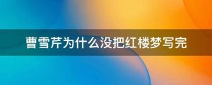 曹雪芹为什么没把红楼梦写完
