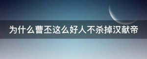 为什么曹丕这么好人不杀掉汉献帝