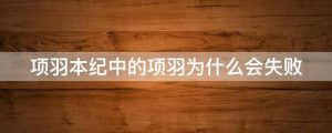项羽本纪中的项羽为什么会失败