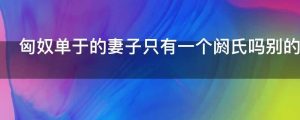 匈奴单于的妻子只有一个阏氏吗别的都称为什么