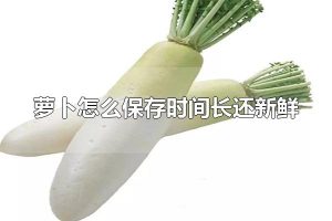 萝卜怎么保存时间长还新鲜 萝卜放冰箱保存时间长还新鲜