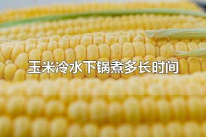 玉米冷水下锅煮多长时间 玉米有什么吃法