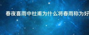 春夜喜雨中杜甫为什么将春雨称为好雨