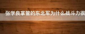 张学良掌管的东北军为什么战斗力很差