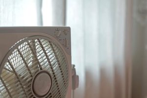 电扇转不起来转的特慢是为什么（电风扇不转动的原因及解决方法）