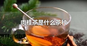 肉桂茶是什么茶种 肉桂茶有什么特点