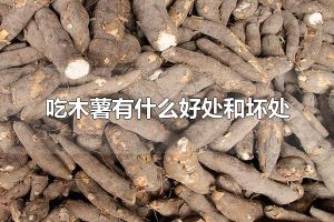 吃木薯有什么好处和坏处 木薯如何食用