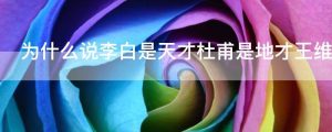 为什么说李白是天才杜甫是地才王维是人才