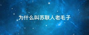 为什么叫苏联人老毛子