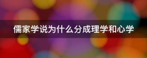 儒家学说为什么分成理学和心学