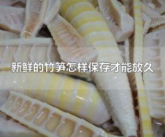 新鲜的竹笋怎样保存才能放久 新鲜竹笋可放于冰箱冷藏区保存