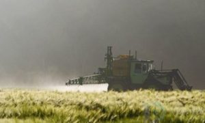 耕田积肥播种麦苗谁不是同一类