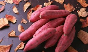 红薯不能和什么一起吃