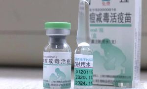 水痘疫苗会产生不良反应红疹吗