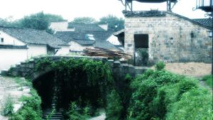 村居作文300字（精选）
