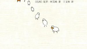 《牧羊少年奇幻之旅》读后感