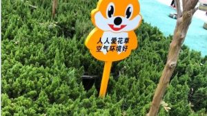 爱护花草的口号