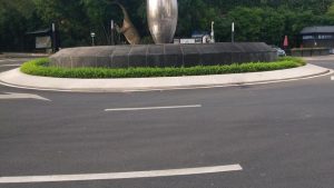 公司拓展训练的心得体会