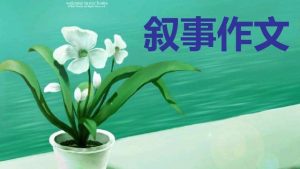 【实用】小学叙事作文合集九篇