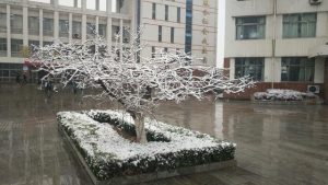 爱的付出和收获师德演讲稿