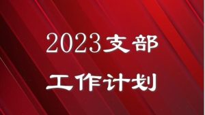 有关支部年度工作计划四篇