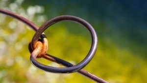 中学生抽烟的检讨书