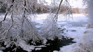 【精选】圣诞节作文400字集合