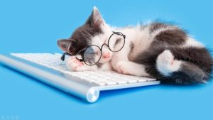 【精】中学教师工作总结