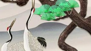 《自然之道》读后感